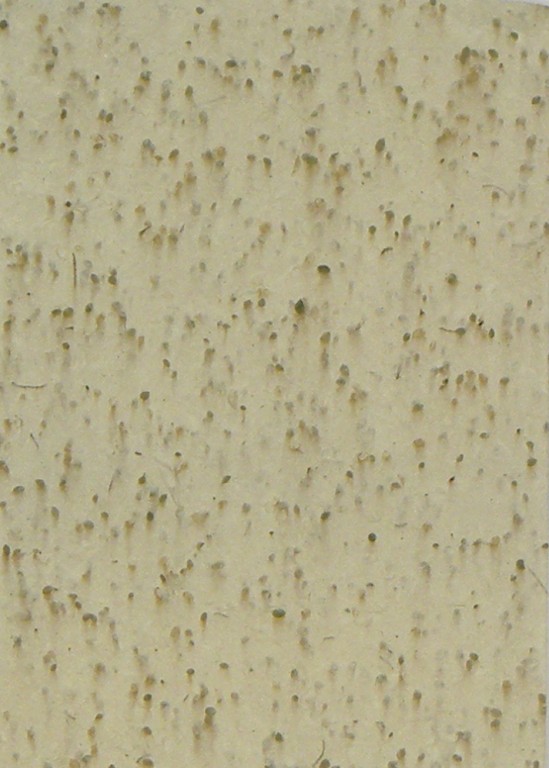 Ruční papír PL19 – 50x75cm