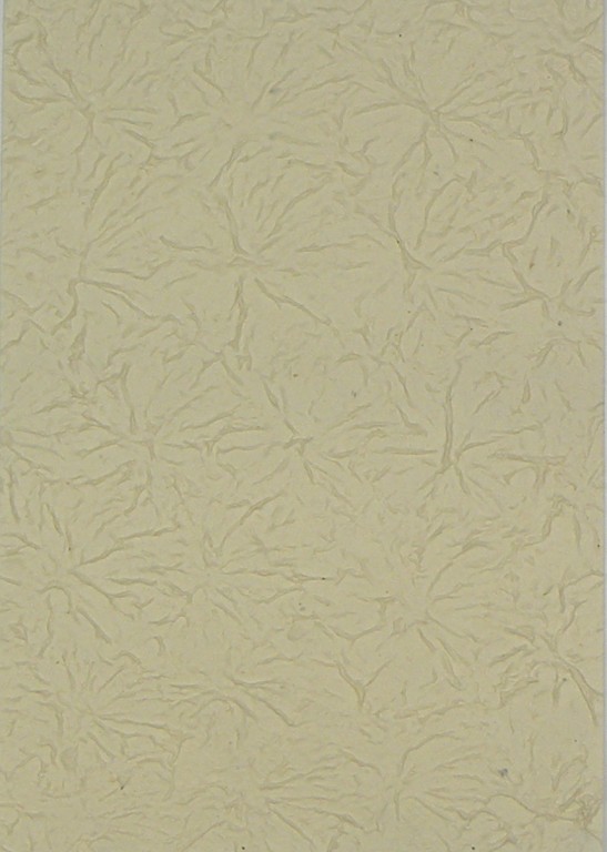 Ruční papír PM63/C01 – 50x75cm