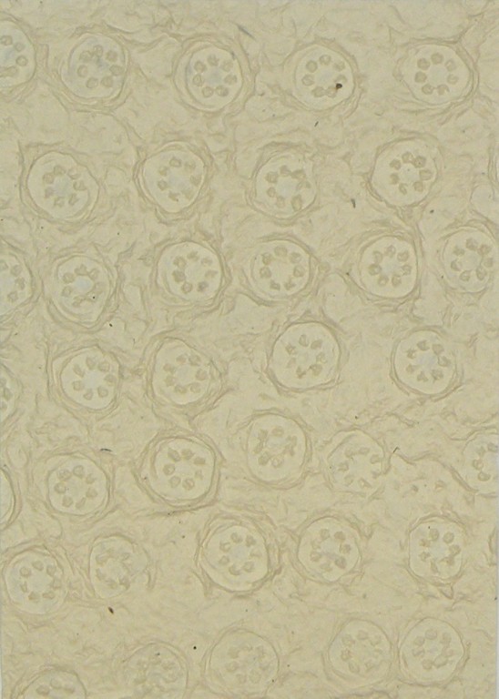 Ruční papír PM438/C01 – 50x75cm