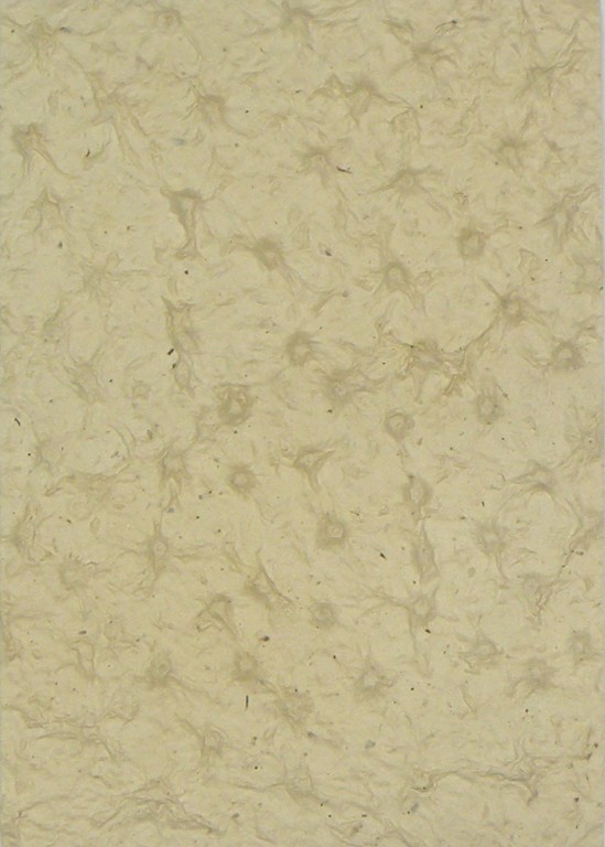 Ruční papír PM478/C01 – 50x75cm