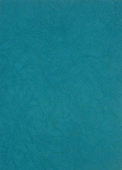 Ruční papír PV353/C20 – 50x75cm