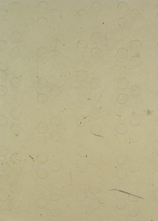 Ruční papír PV354/C01 – 50x75cm