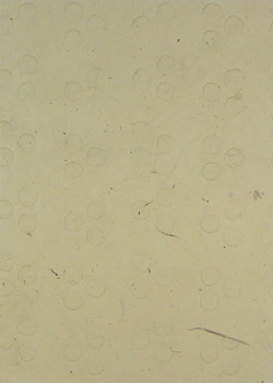 Ruční papír PV354/C01 – 50x75cm