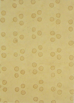 Ruční papír PV354/C03A – 50x75cm