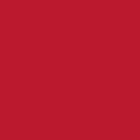 G3040 Ketchup