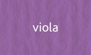 Elle Erre 70x100cm 220g – viola