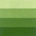 Grafická barva Charbonnel 60ml – medium green