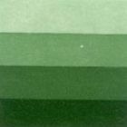 Grafická barva Charbonnel 60ml – sap green