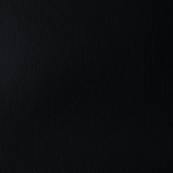 Akrylová barva Basics 946ml – 244 ivory black