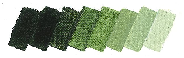 Olejová barva Mussini 150ml – 526 sap green