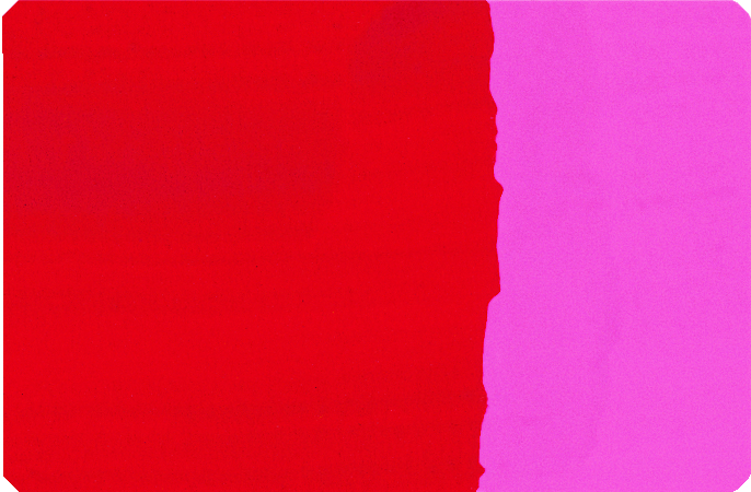 Malířský pigment Schmincke 100ml – 372 naphthol red