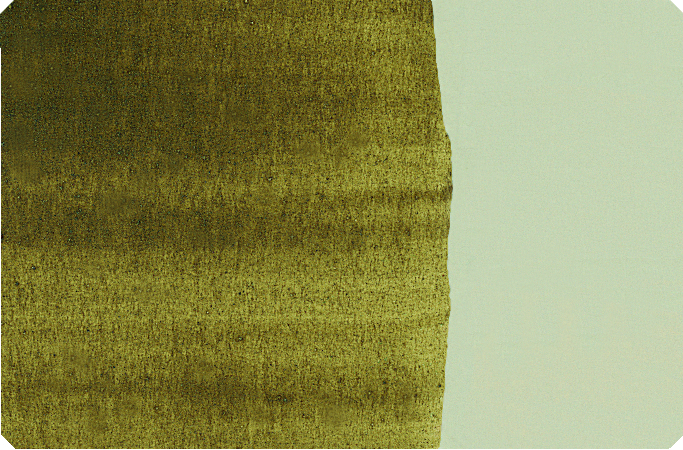 Malířský pigment Schmincke 100ml – 519 Bohemian green earth