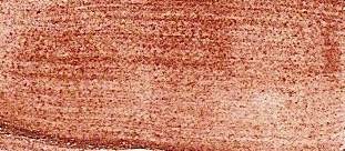 Akrylová barva Colours 20ml – 36 Měď