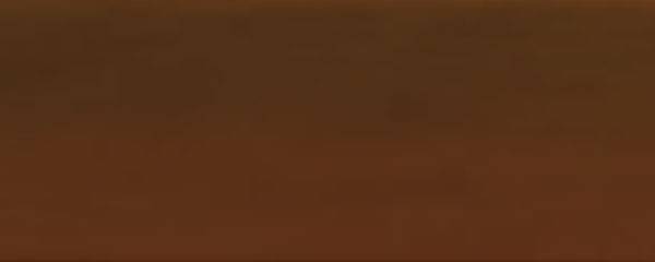 Tiskařská barva H2Oil 60ml – 09 sépie