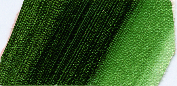 Olejová barva Norma 35ml – 514 sap green