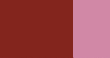 Kvašová barva Schmincke 20ml – 678 burnt Sienna