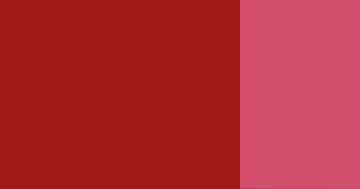 Kvašová barva Schmincke 20ml – 682 English red