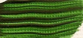 Renesans A'kryl 100ml – 18 Zeleň listová