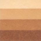 Grafická barva Charbonnel 200ml – burnt umber