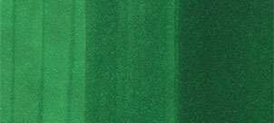 Copic sketch marker - G19 bright perrot green