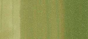 Copic sketch marker - G24 willow