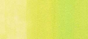 Copic sketch marker - YG01 green bice