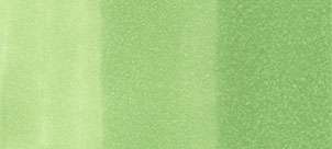 Copic sketch marker - YG13 chartreuse