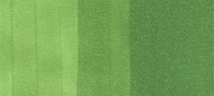 Copic sketch marker - YG17 grass green