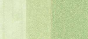 Copic sketch marker - YG61 pale moss