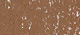Schmincke suchý pastel 037 D sepia brown