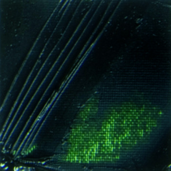 Olejová barva Pébéo XL 200ml – 17 sap green