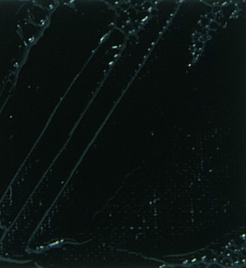 Olejová barva Pébéo XL 37ml – 24 ivory black hue