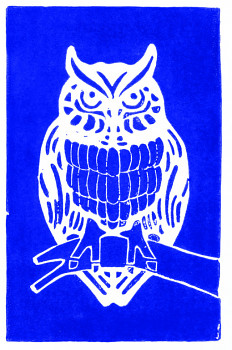 Linorytová barva Schmincke 250ml – 430 ultramarine