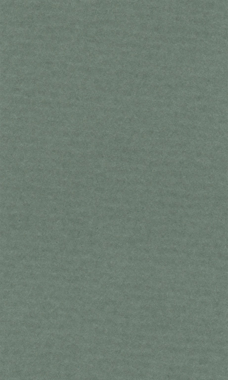 Barevný papír Lana 50x65cm - 14 sage