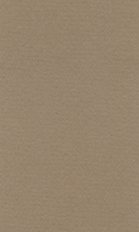 Barevný papír Lana 50x65cm - 21 brown