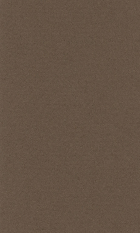 Barevný papír Lana 50x65cm - 23 dark brown
