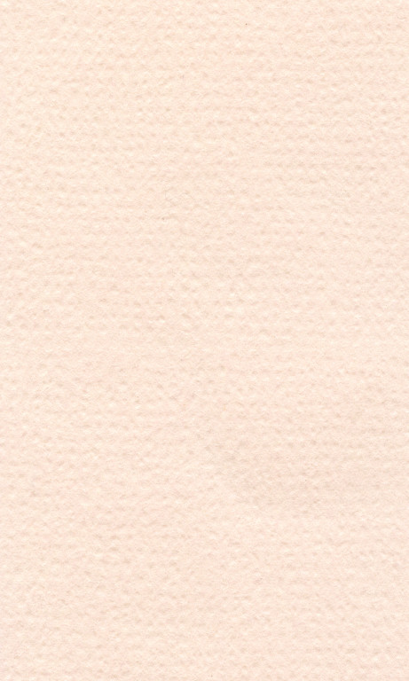 Barevný papír Lana 50x65cm - 33 rose quartz