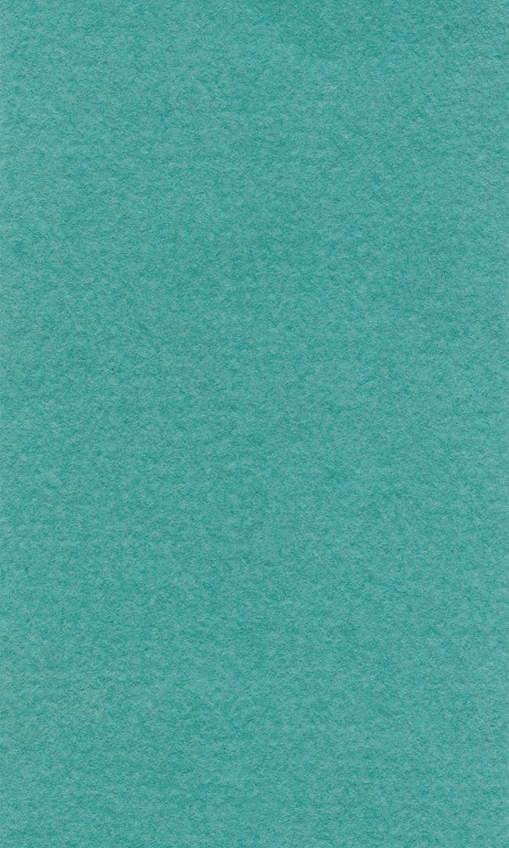 Barevný papír Lana 50x65cm - 34 mint