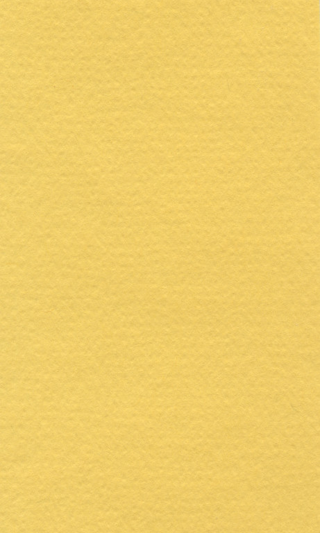 Barevný papír Lana 70x100cm – 01 canary