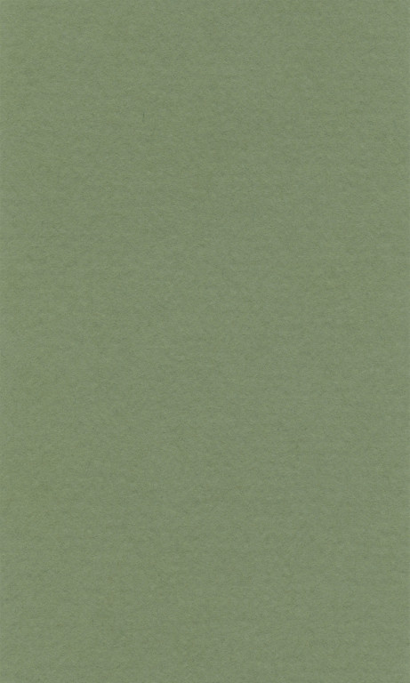 Barevný papír Lana 70x100cm – 13 sap green