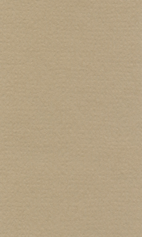 Barevný papír Lana 70x100cm – 18 oyster