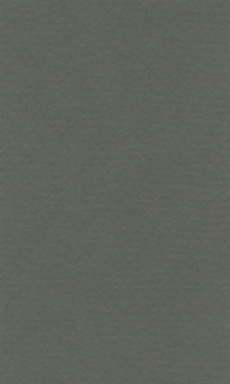 Barevný papír Lana A4 - 15 ivy