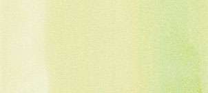 Copic classic marker – G40 Dim Green