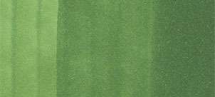 Copic classic marker – YG67 Moss