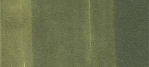 Copic classic marker – YG99 Marine Green