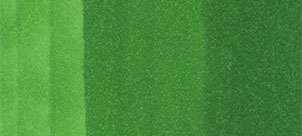 Copic Ink – G07 Nile Green