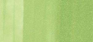 Copic Ink – G43 Pistachio