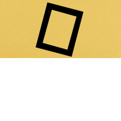 C1031 chamois gold