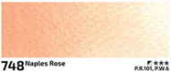 Akvarelová barva Rosa 10ml – 748 naples rose