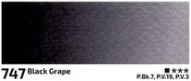 Akvarelová barva Rosa 10ml – 747 black grape